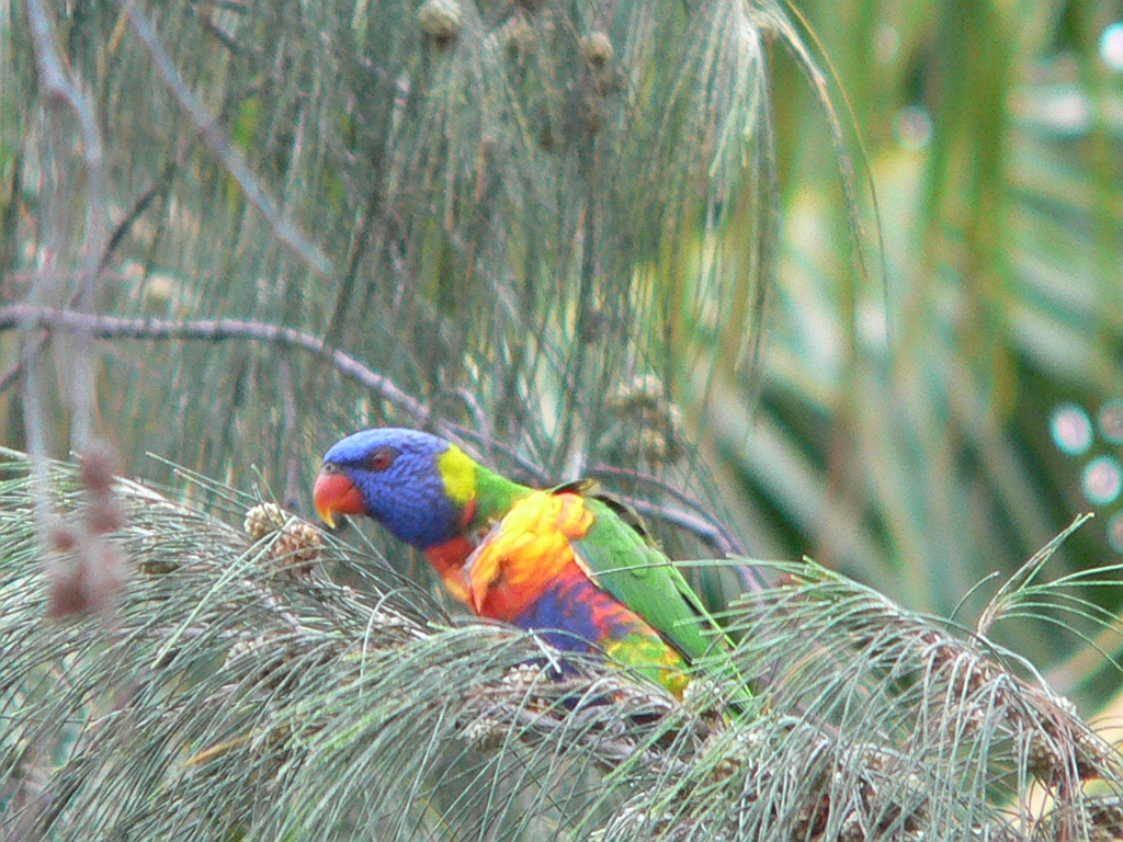 053 Port Douglas.jpg